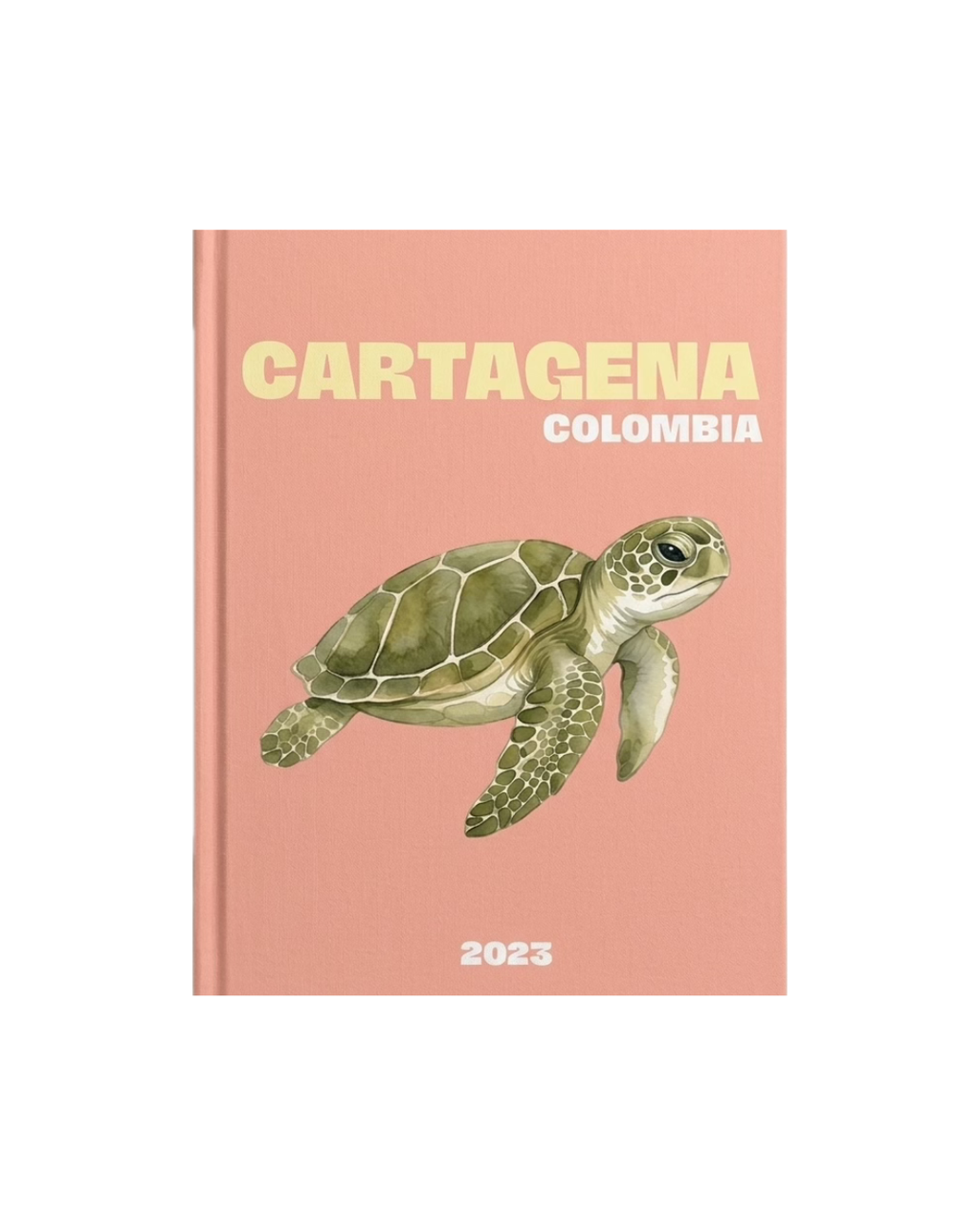 My Travel Book